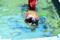 Brahmakalashanga Rathotsava at Shrimath Anantheshwar Temple Vittal (5 May 2025)
